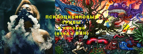 apvp Костерёво