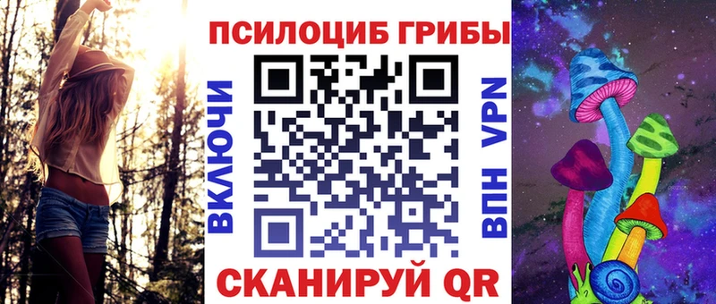 Купить  Североморск  Псилоцибиновые грибы Psilocybe 